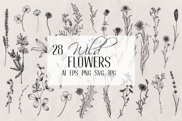 Elegant Wildflowers Line Art Vector: A Designer's Botanical Toolkit