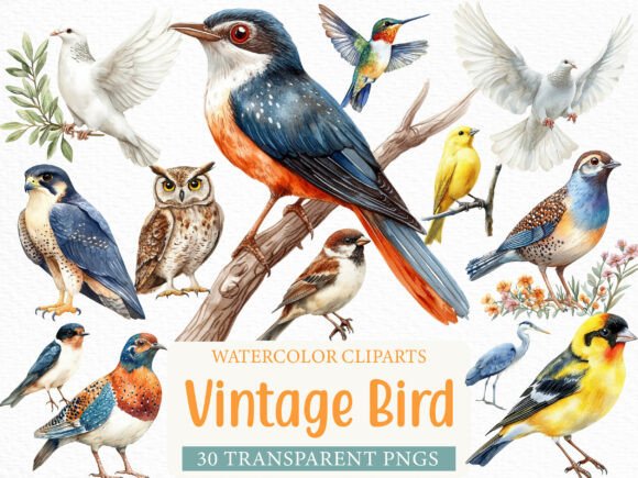 Elevate Your Designs with a Watercolor Vintage Bird Clipart Bundle