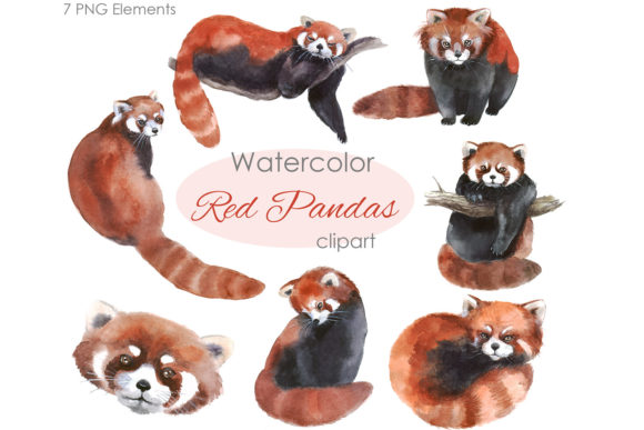 Enchanting Watercolor Red Panda Clipart for Creative Projects