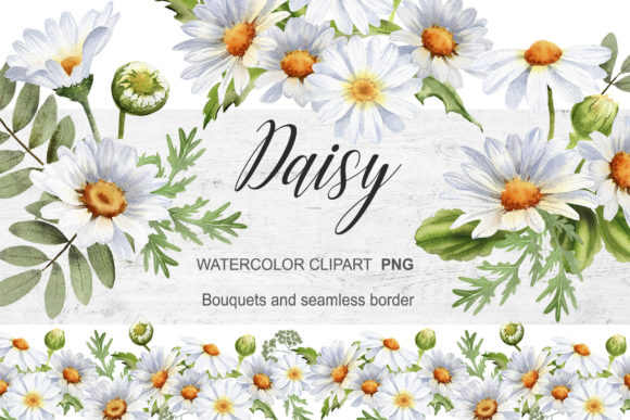 Watercolor Daisy Clipart Chamomile: Elevate Your Designs